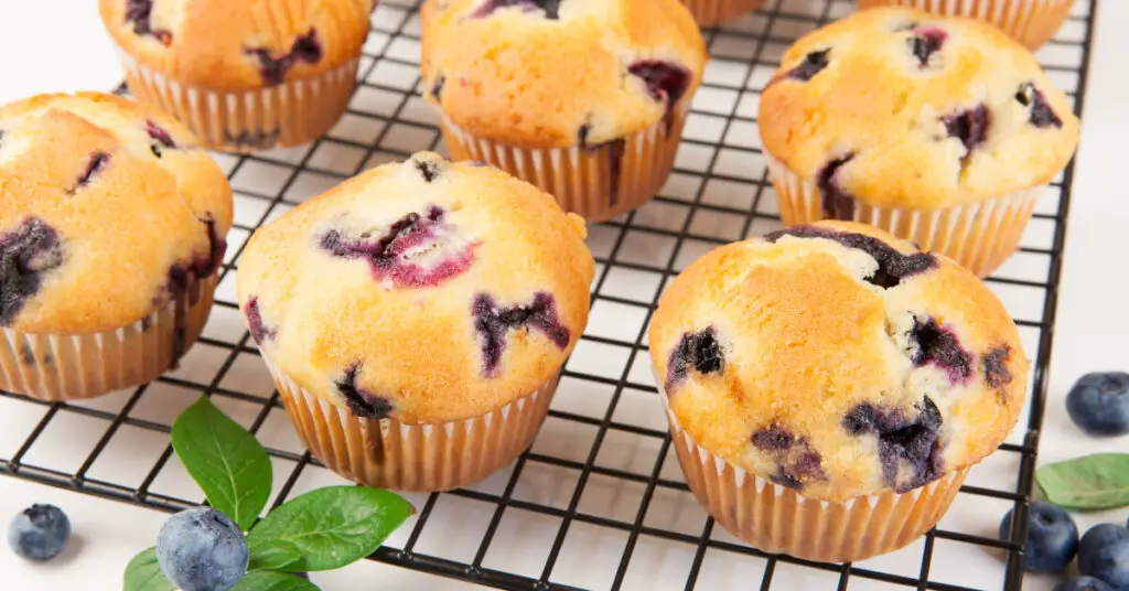 Blueberry Muffins