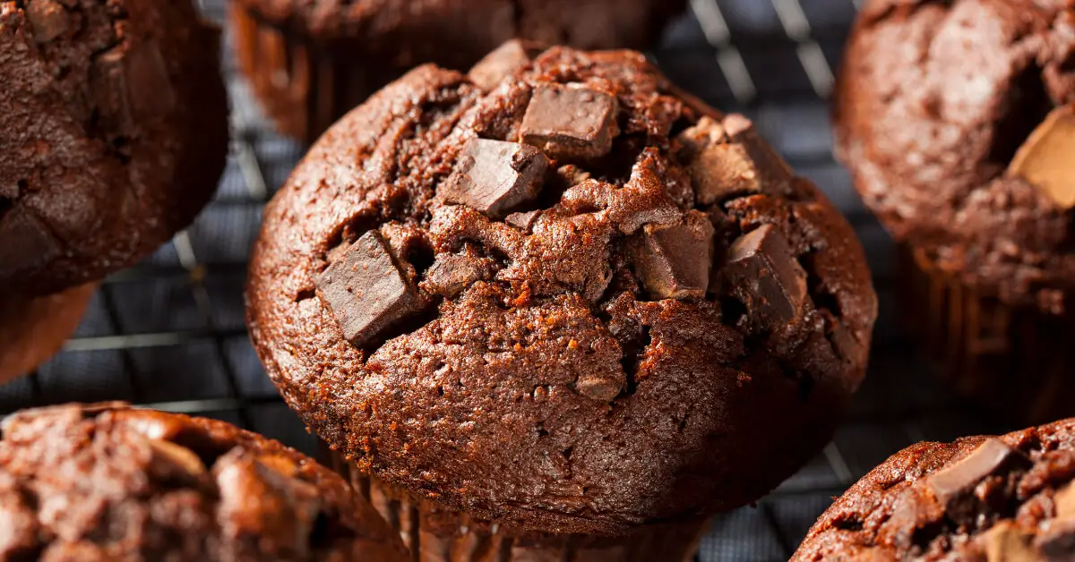 Double Chocolate Muffins