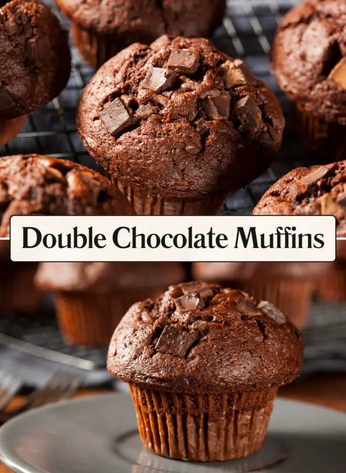 Double Chocolate Muffins