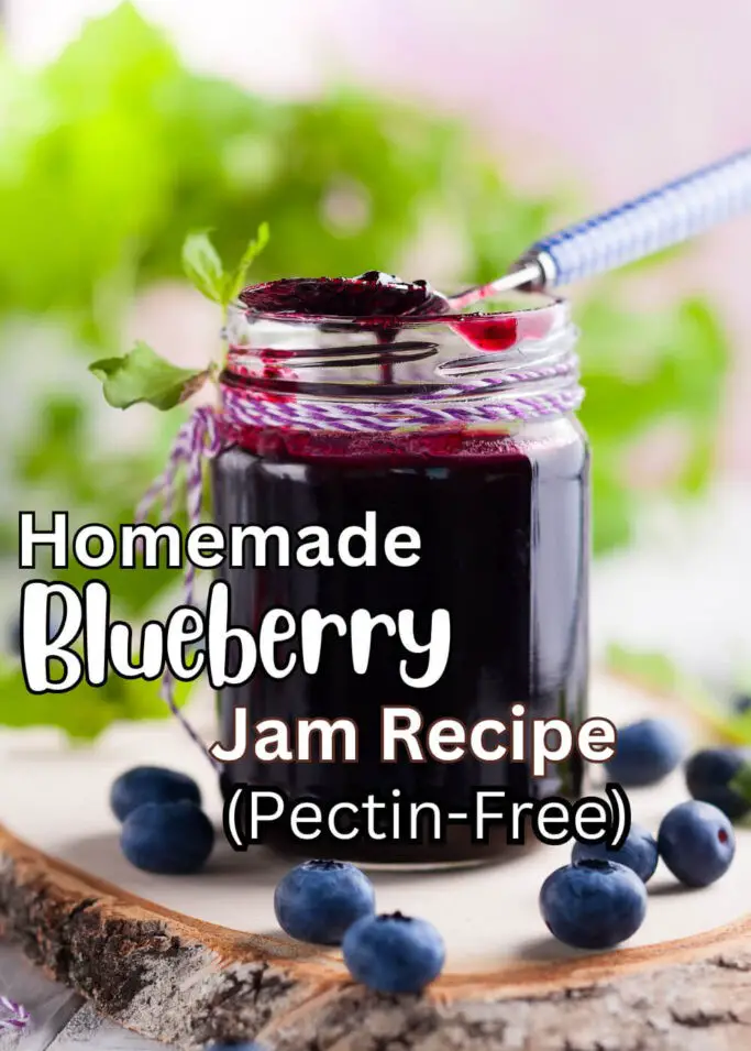 Homemade Blueberry Jam Recipe Pectin Free